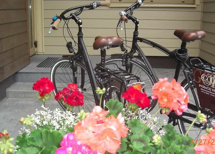 Goda & 4* Druskieniki