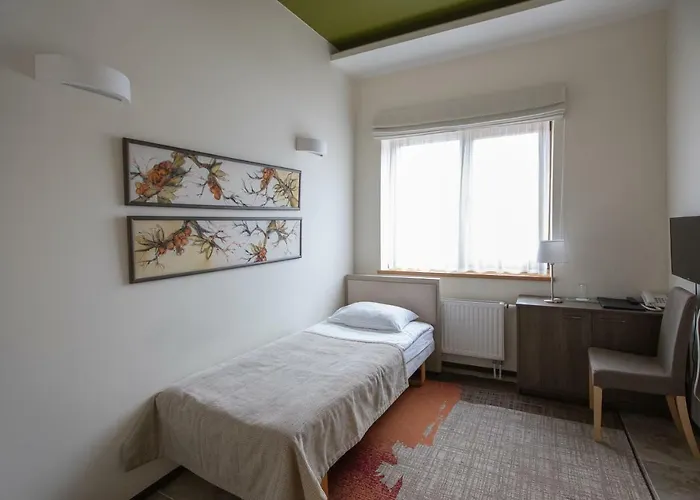 Goda & 4* Druskieniki